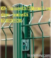 wire mesh fence