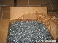 Low carbon nails /nails seller/common iron nails factory