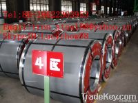 hot dip galvanized steel coil z275