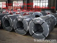Hot dipped galvanized steel sheet for sale