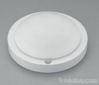 5W voice control LED downlight