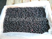 IQF Blueberries