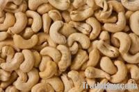 Cashew Kernel & Nuts