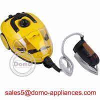 Garment Steam Cleaner