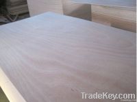 Okume F/B , Poplar Core, E1/E2 Glue Plywood