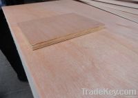 bintangor plywood, poplar core, MR glue