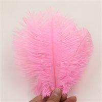 Quality Ostrich Feathers For Centerpiece And Duster.