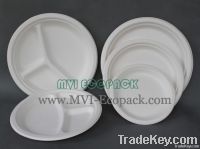 Eco Friendly Disposable Plates