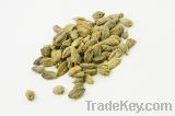 Cardamom