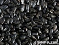 https://jp.tradekey.com/product_view/New-Crop-Sunflower-Seeds-Suppliers-Sunflower-Seed-Exporters-Sunflower-Black-Seed-Striped-Black-Seed-Flowers-Seed-Sunflower-Kernels-4204479.html