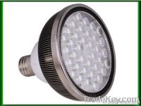 LED PAR Light