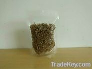 dried-mealworms