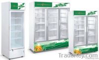 Single door Fruit and Vegetable Upright freezer