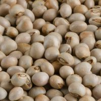 Grade A Pigeon Peas From