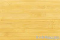 Ntural Horizontal Bamboo Flooring