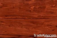 Eucalyptus flooring