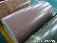 Prepainted steel sheets (Packed in Coils)