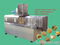 fried snack food processing line