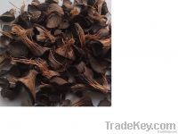 Palm Kernel Shell