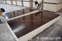 sell at a low price-black/brown Film faced plywood
