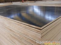 sell Ching Professional production concrete film faced plywood