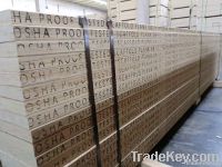 Dubai laminated veneer lumber lvl board