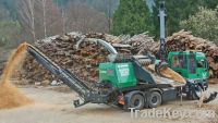 Wood chips for power plants