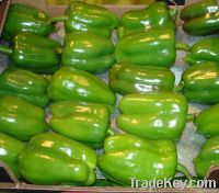 Green Capsicum