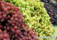 Grapes