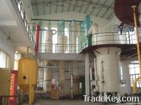 Edible Oil Extraction Line