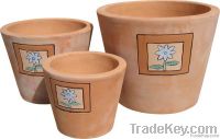 Terracotta pots