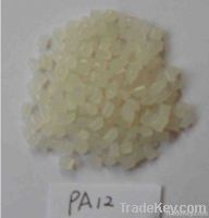 Polyamide(PA)