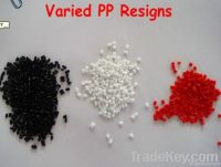 PP granule/ PP resin Polypropylene