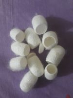 Natural Silkworm Cocoon/ Viet nam Silkworm Cocoon WHATSAPP+84-93-243-6968 
