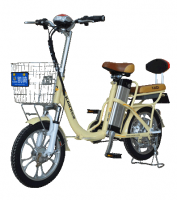 Lithium electric bicycle TDR331