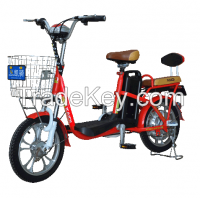 Electric Bicycle TDR323