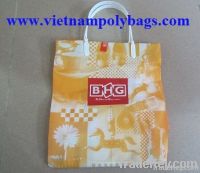 rigid handle bag