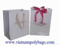 Satin ribbon handle shopping paper bag