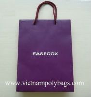 Purple hopping paper bag
