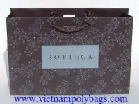 Luxury fashion paper shopping bag