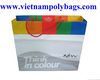 Deluxe brand laminated gift paper bag