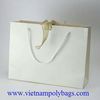 Plain color paper shopping bag