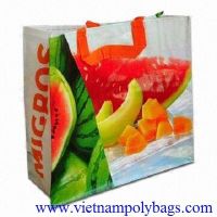 Nice  PP Woven bag for shoppingf
