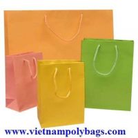 PP-02 Shopping paper bag