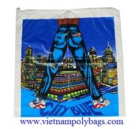 Hot design plastic poly bag with pp cotton rope