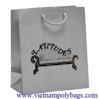 PP-13 Gift packaging paper shopping bag