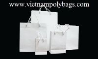 PP-12 Luxury White paper shopping bag