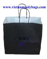 Vietnam shopping Best seller Art Paper Bags 