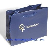 PP-06 shoe shopping paper bags