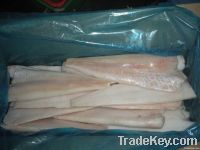 Atlantic Cod fillet